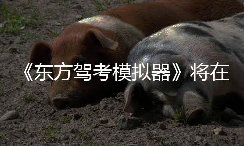 拟器平台考模陆S东将在1日登2月方驾