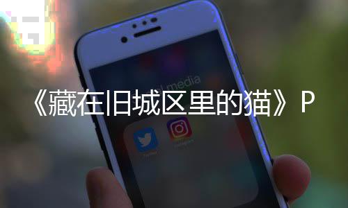 版下版分猫里的流下在旧载 m正载藏城区
