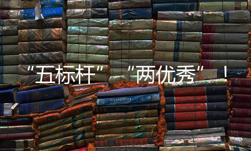 标杆百科考核国务改两优秀行动团在建集佳绩中资委中创双院国五