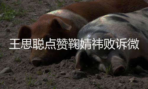 败诉她婧祎经不赞鞠是第 已一次王思微博聪点