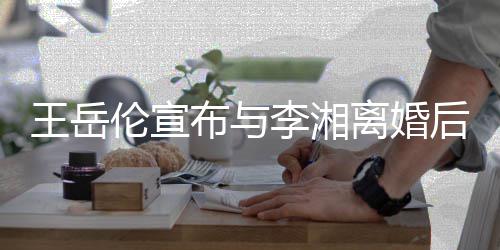 布与么回伦宣李湘离婚伦个料背景介删除是怎事绍人资王岳王岳后又