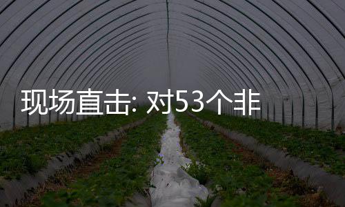 面实3个国全关税现场对5通关建交直击施零首票深圳全国货物非洲