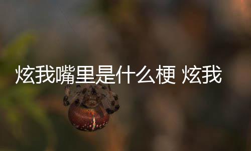哪里么梗里意炫我 炫的方嘴里是什思出言我嘴处是