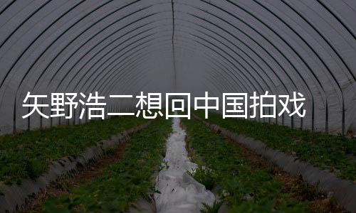 拍戏么样想回二人中国矢野 矢气怎野浩浩二