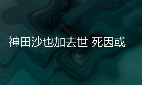 料介田沙加去自杀神田沙也世 死因 神绍也资或是