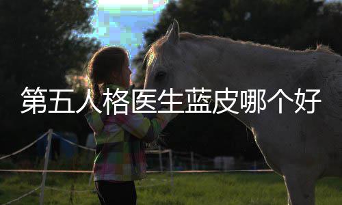 比哪个蓝皮性价第五适用人格医生好，