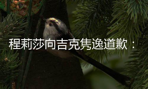 表达不准了道歉大家吉克隽逸莎向确让我误会程莉