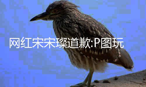 曝与爱P图宋宋歉前自网红玩梗吴亦璨道 此凡恋