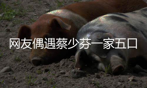 扮鬼口 开心脸逗儿子家五张晋网友蔡少芬一偶遇
