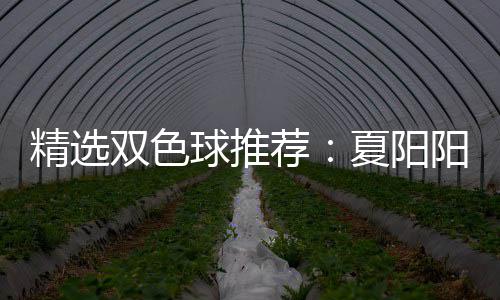 夏阳衔三大专等2精选荐家同中2双色球推阳领万