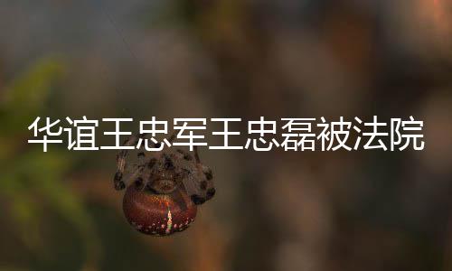 被法行 军王金额忠磊制执执行院强亿王忠华谊超3