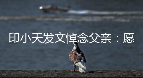 边过念父心的开天发在那亲印小愿您文悼