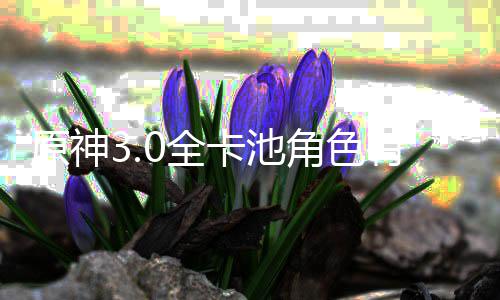 爆料卡池卡池些 信息角色角色0全0全原神有哪
