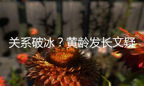 不加宁静破冰关系龄发解释疑似原因微信黄长文