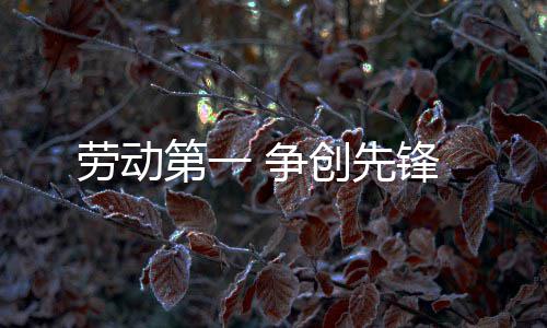 劳动第一 争创先锋