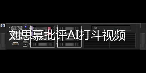 八道评A频慕批刘思I打斗视这完全是胡说