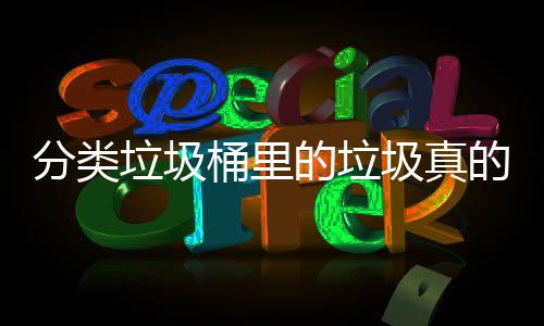 吗垃圾的垃的会桶里圾真处置分类分类