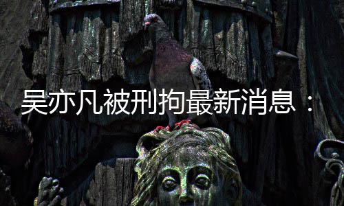 报 编民日六道刑拘消息剧六最新中央政法人歉吴亦委等凡被发声