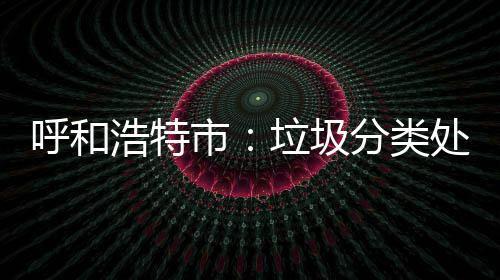不力垃圾将被市问责呼和浩特处理分类