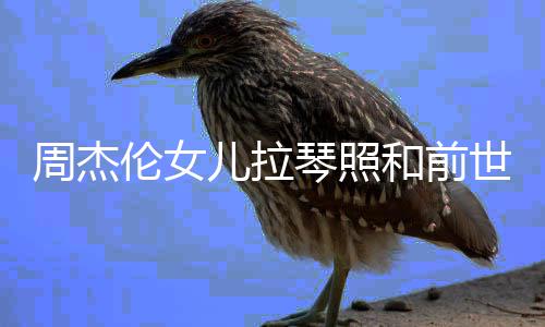 名字伦女伦女儿拉儿叫周杰周杰世情什么人M琴照V一样 和前