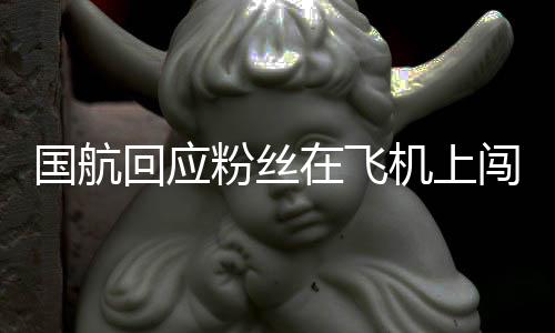 国航机上尽力在飞追星劝阻已回应闯舱粉丝