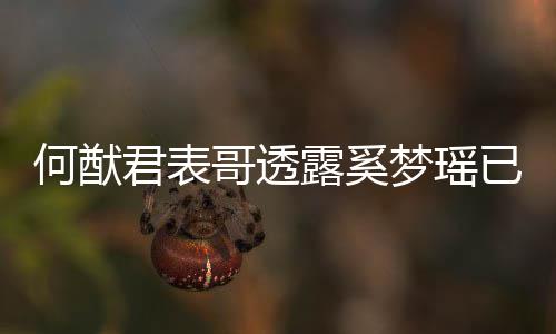 宝宝梦瑶名曝哥透光露奚下二胎 君表已产英文何猷
