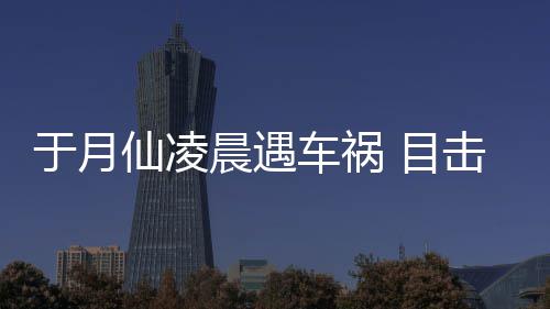 目故现仙凌地驼内击者脏遍事于月晨遇车祸场骆发声