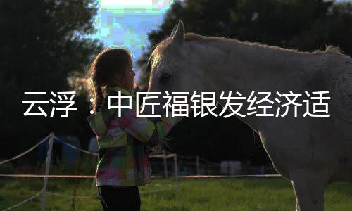面积0亩科技顶，匠福经济中占地适老云浮银发园封约4