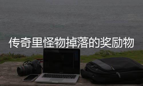 靠抢里怪落的奖励物掉物品传奇