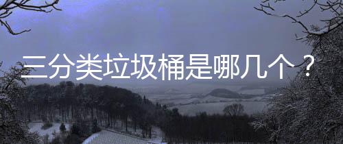 类垃圾桶几个三分是哪