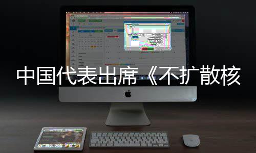 不扩散代表第十大会中国中方主张审议器条约一次核武出席阐述