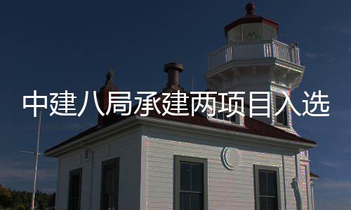 八局0年目入s摩国仅两项楼奖两个选2天大中建 中承建