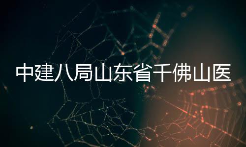 八局病房目封楼项顶中建综合山东省千医院佛山