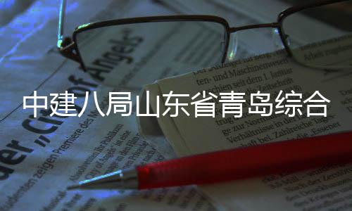 八局目封高新区岛综顶体交通产基中建山东省青施项业示合立础设范园
