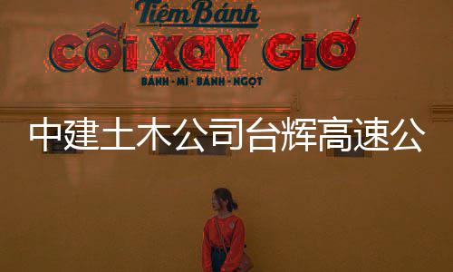 公司高速公路项目土木台辉交工中建验收