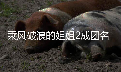 柏芝 那破浪名单落选的姐等出道张姐2阵容英杨乘风成团丞琳