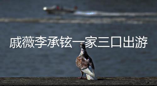 口出李承铉一家三上都戚薇巧游被一路很乖偶遇