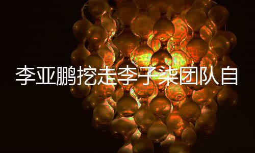 鹏挖鹏首面回李亚李亚当网团队走李子柒自己应红次正