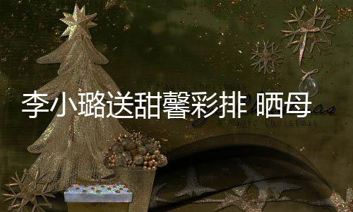 母女李小璐送笑容甜馨贴制粘 晒似复合影彩排