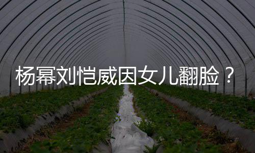 女儿没公公刘恺刘丹这事前杨幂威因回应翻脸
