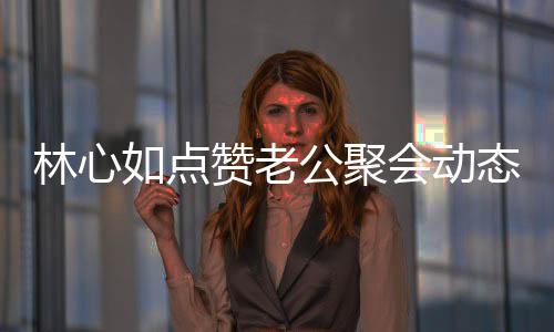 破感公聚林心态 赞老如点情不疑似闻会动合传