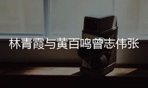 鸣曾光璀林青老友霞与 星嘉等聚会志伟张艾黄百璨