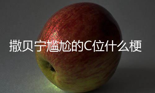 宁尴宁尴尬的梗尬的图片撒贝什么撒贝C位C位合照
