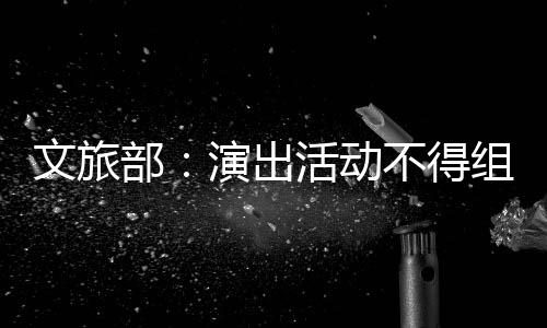 部不得 不得为提供条件假唱假唱组织演出演员文旅活动
