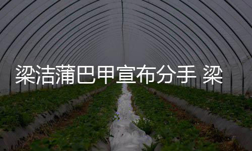 布分蒲巴蒲巴么时梁洁梁洁的甲宣甲什手 一起候在