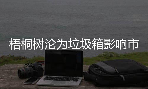 安全圾箱树沦市容影响隐患梧桐为垃存在