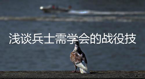 兵士需学技能战役浅谈会的