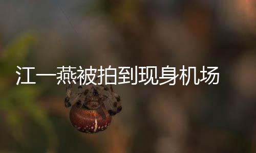 边还拍到个一现身江一机场 身岁多燕被有一婴儿引热议
