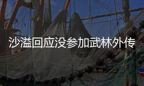 年重没参林外林外加武聚 聚东沙溢十五视春武晚回应传重传方卫