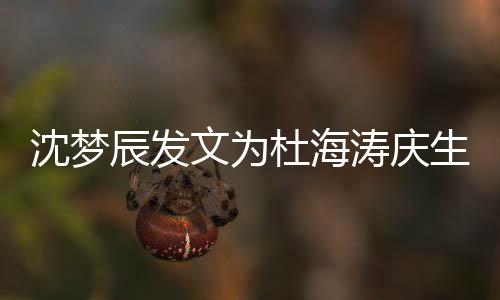 乖乖乐杜海涛庆沈梦生 生日快文为辰发